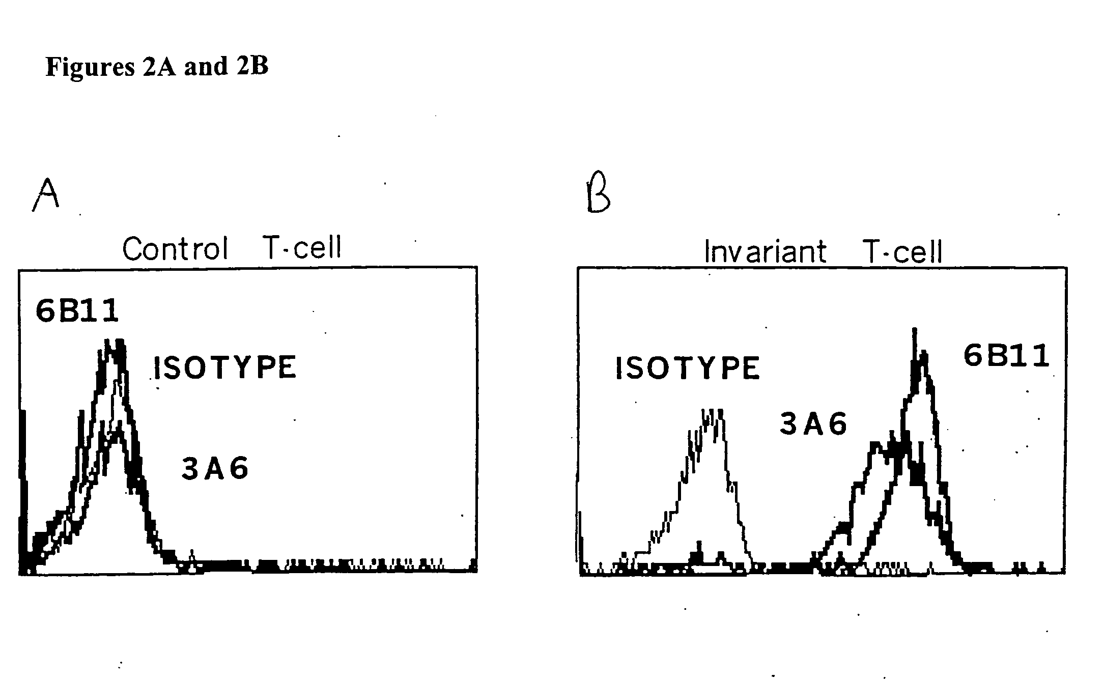 Compositions and methods of monoclonal and polyclonal antibodies specific for T cell subpopulations