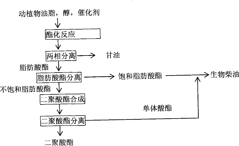 Method for coproducing biological diesel oil and dimeric dibasic acid ester by using animals and plants grease