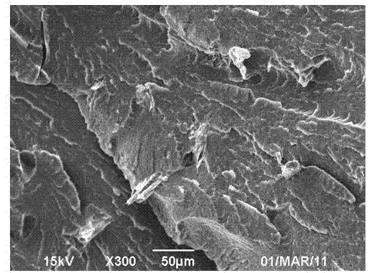 Nylon 6/plant fiber composite material and preparation method thereof