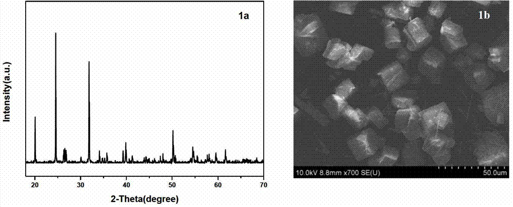 Method for synthesizing tellurium molybdate magnesium single crystal micro powder by using supercritical water system