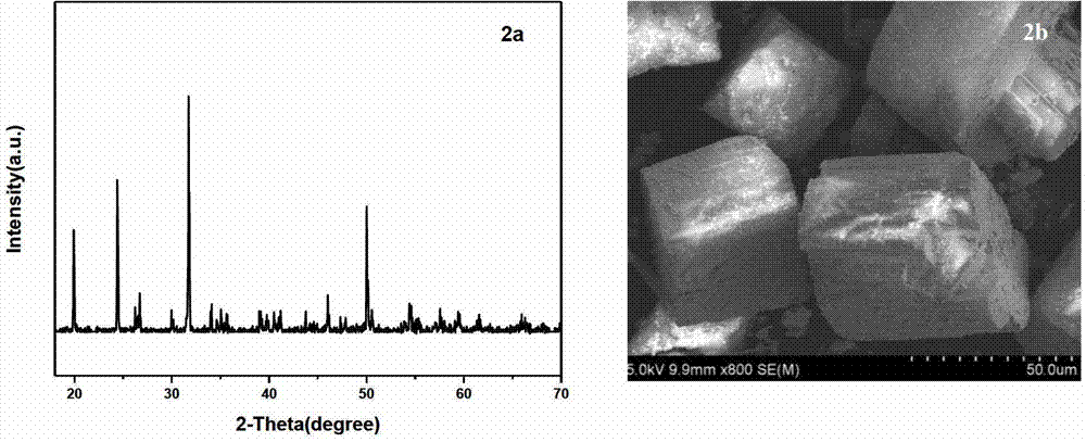 Method for synthesizing tellurium molybdate magnesium single crystal micro powder by using supercritical water system