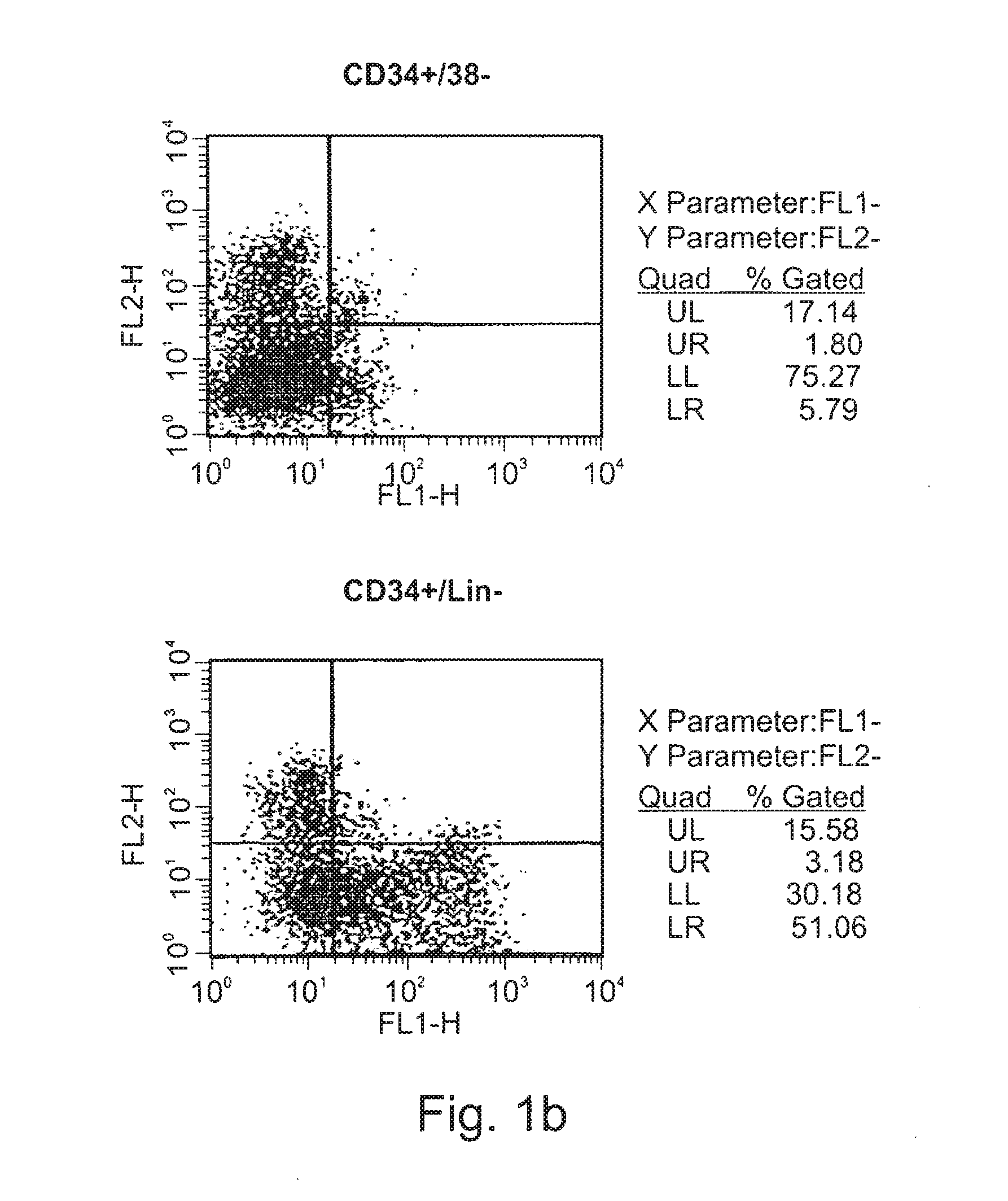 Expansion of renewable stem cell populations