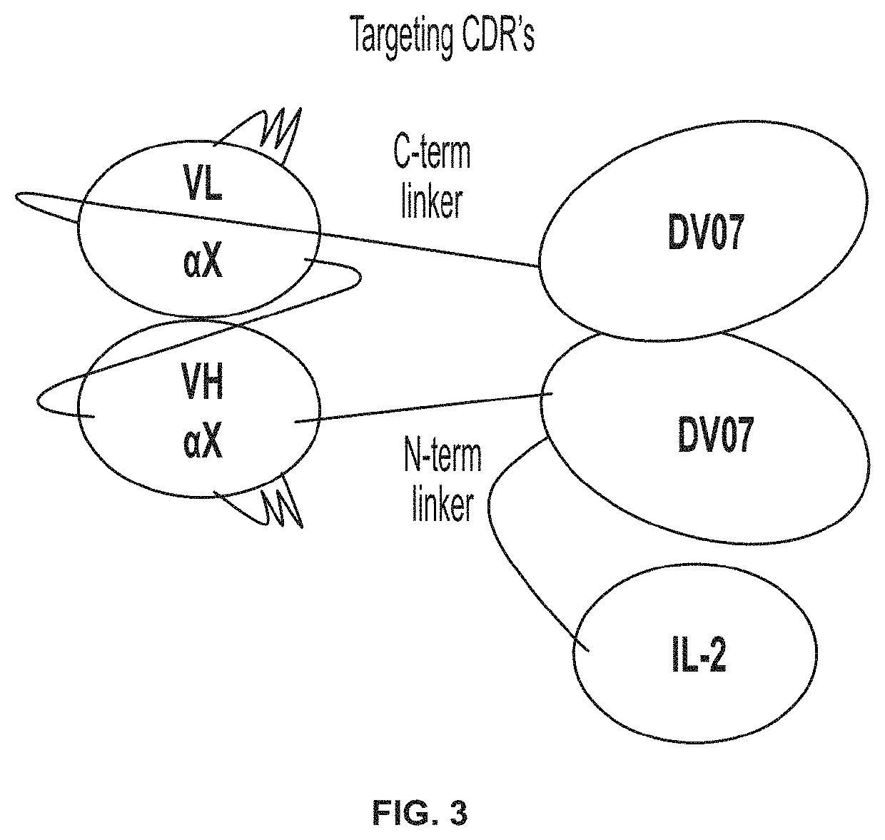 Dual cytokine fusion proteins comprising IL-10