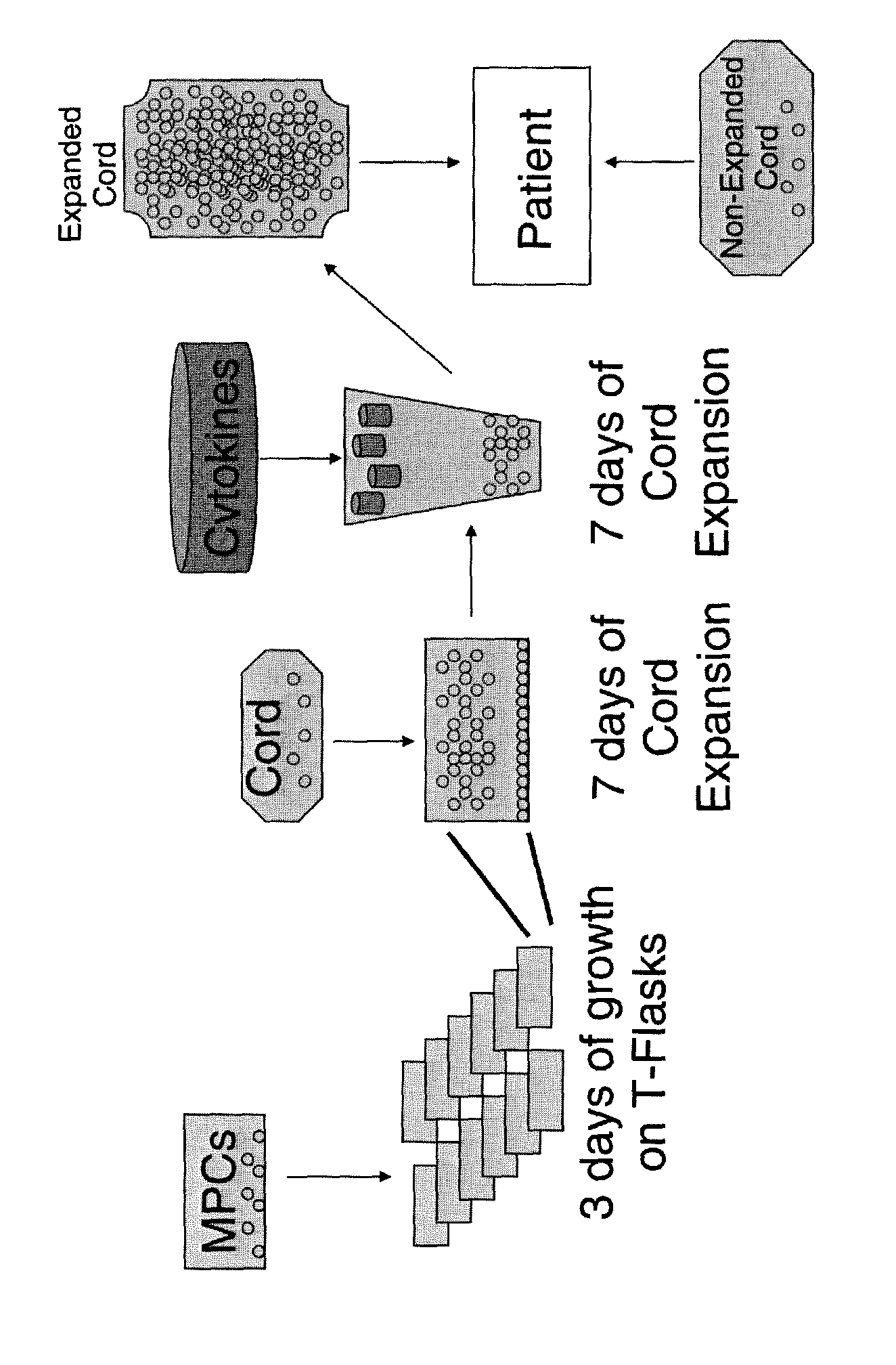 Expansion of haemopoietic precursors