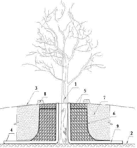 Method for reserving primeval big trees in process of terrain reform