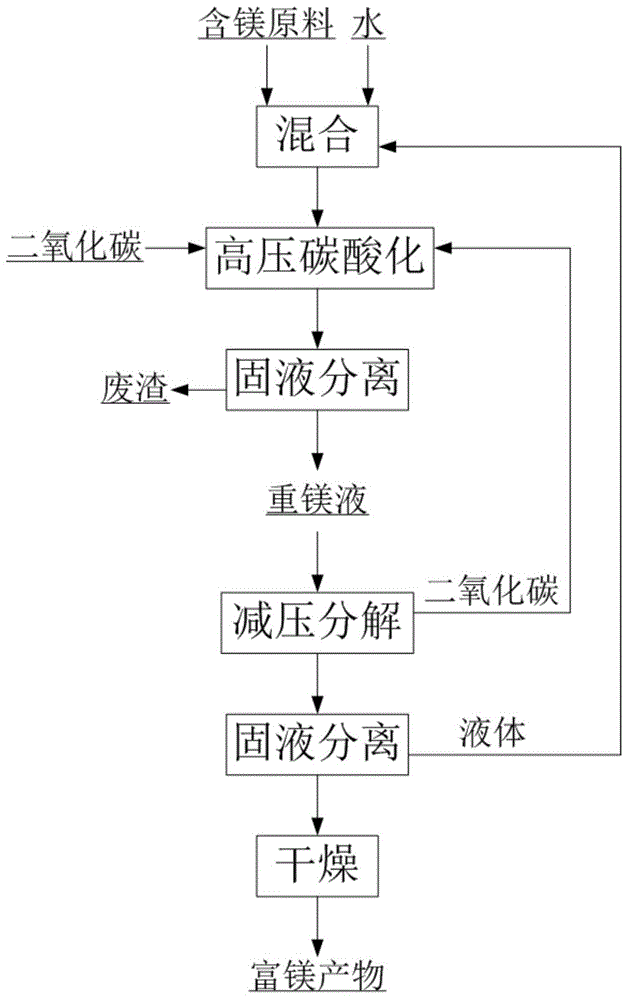 Method for extracting magnesium by means of high-pressure carbonization