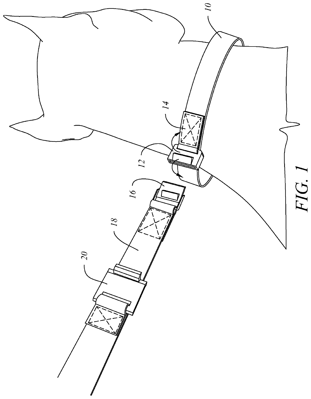 Leash attachment system for dog collar or harness