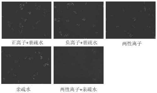 Polyurethane, preparation method and applications thereof