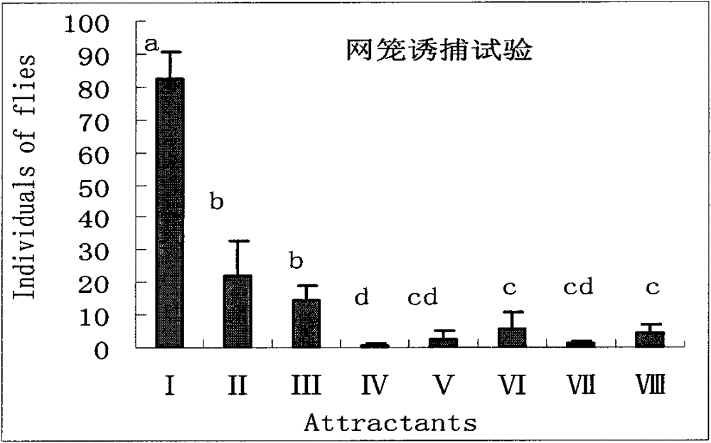 Fruit fly food source attractant and preparation method thereof