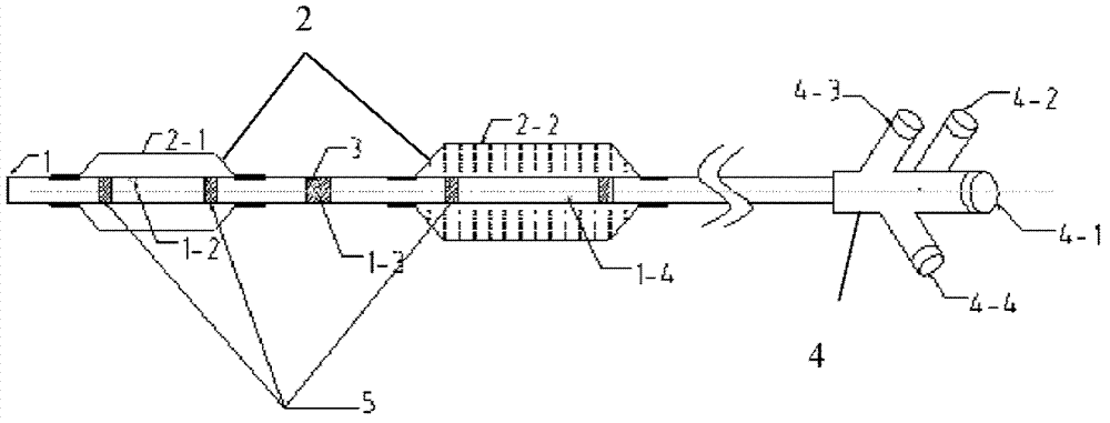 Sacculus expansion catheter for drug treatment