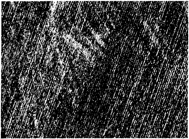 Coarsening solution for electroplating pretreatment on surface of semiconductor N\P type cooling wafer and related electroplating pretreatment process