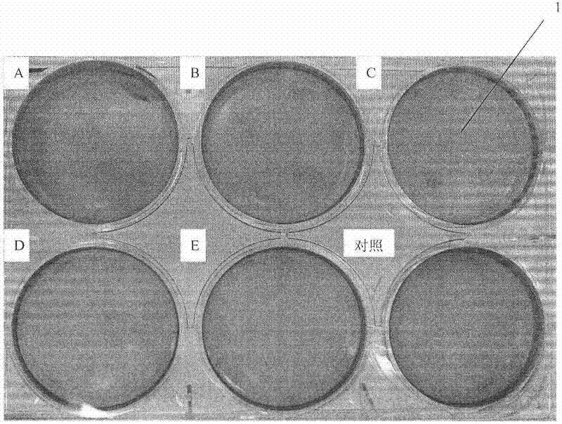 Method for Plaque Titration of Foot-and-Mouth Disease Virus in Suspension Cells