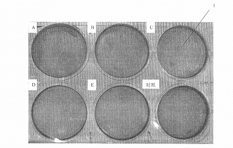 Method for Plaque Titration of Foot-and-Mouth Disease Virus in Suspension Cells