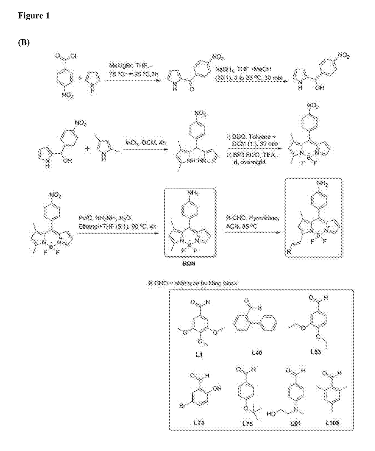 Chemical fluorescent probes for detecting biofilms
