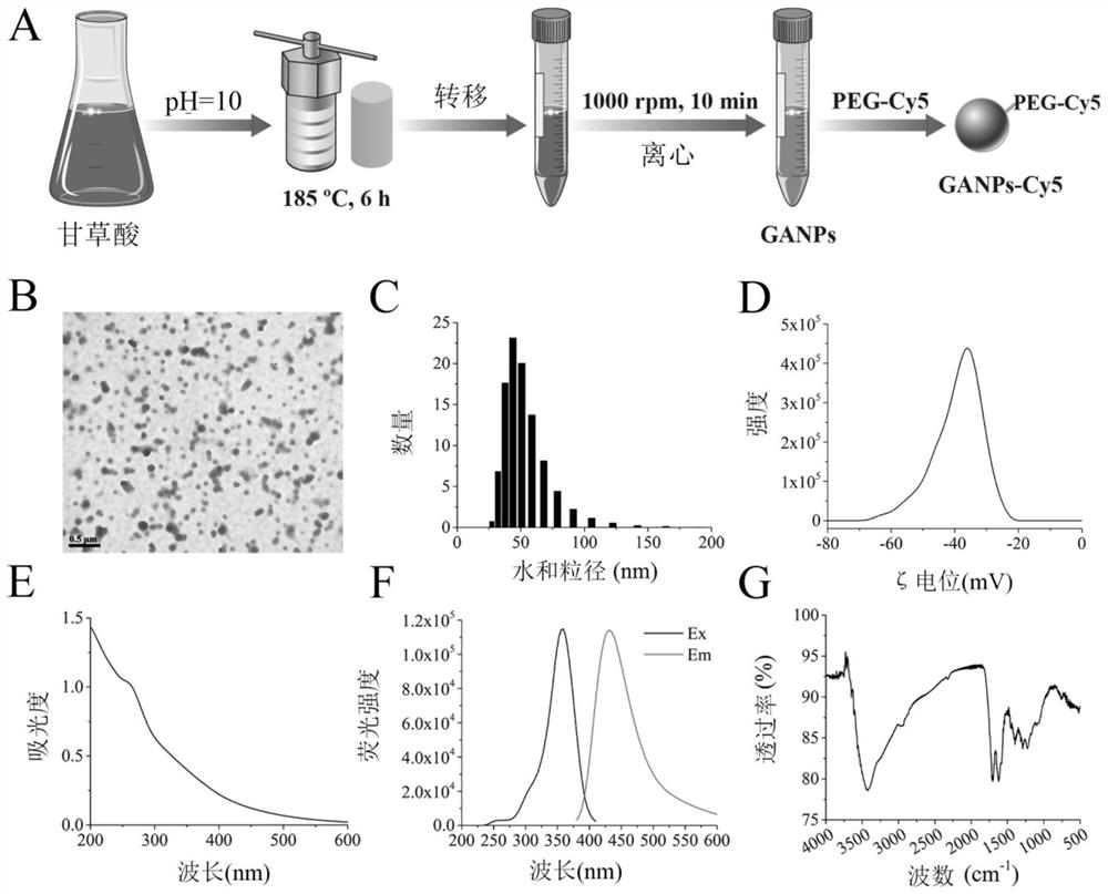 Synthesis of glycyrrhizic acid nanoparticles and combined treatment application of glycyrrhizic acid nanoparticles in novel coronavirus pneumonia