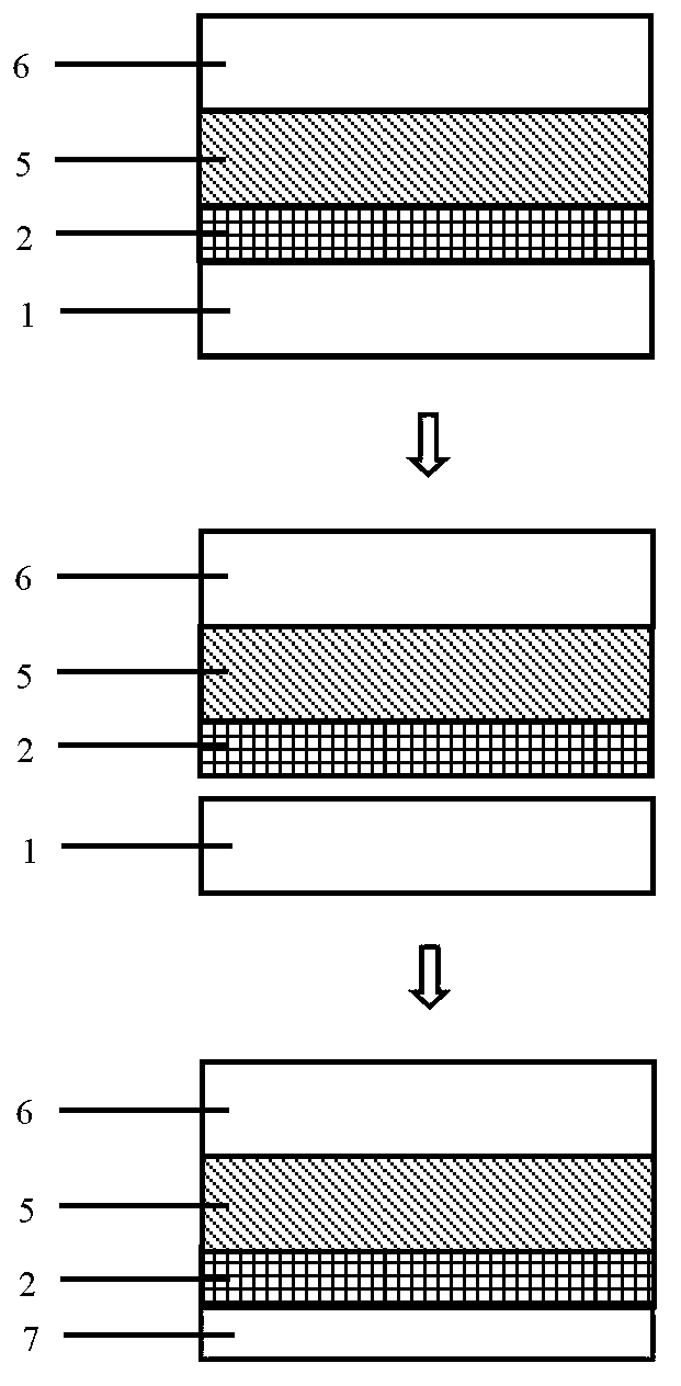 Process method for preparing soft element and soft substrate on CVD (chemical vapor deposition) graphene