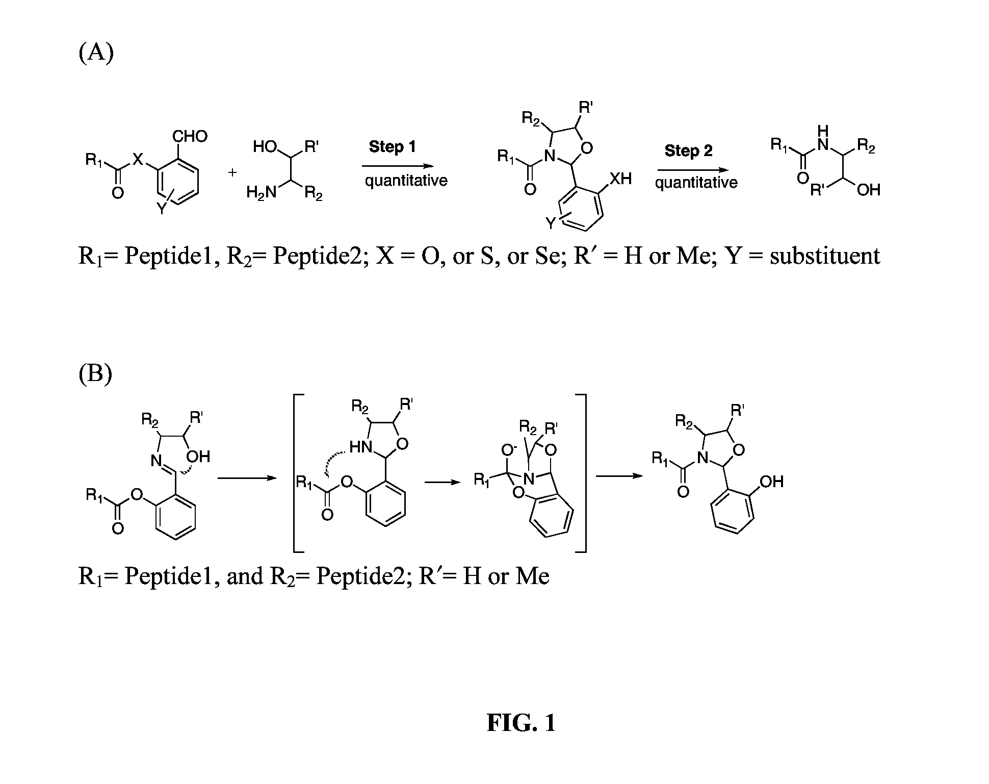 Native chemical ligation at serine and threonine sites