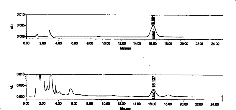 Plant raw material composition with anti-fatigue effect, preparation method, application and product thereof