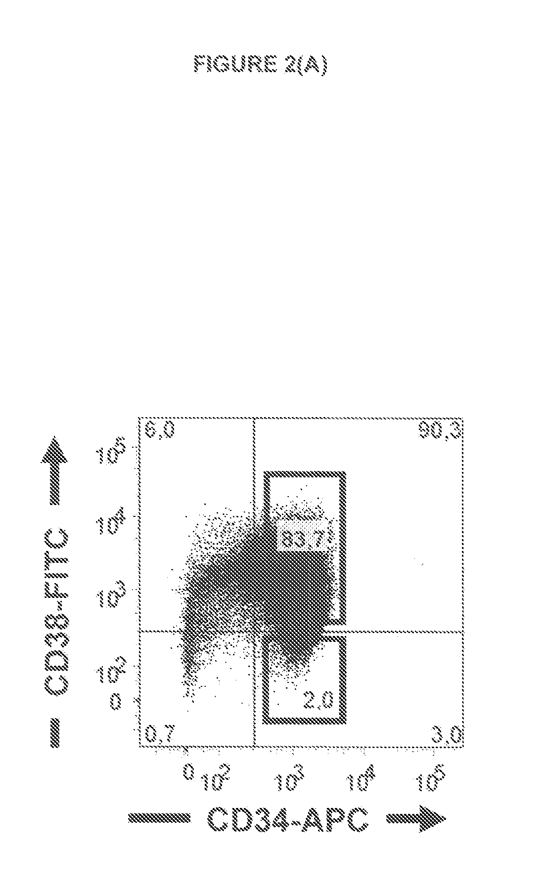 Anti-IL1RAP Antibodies and Their Use for Treating Human