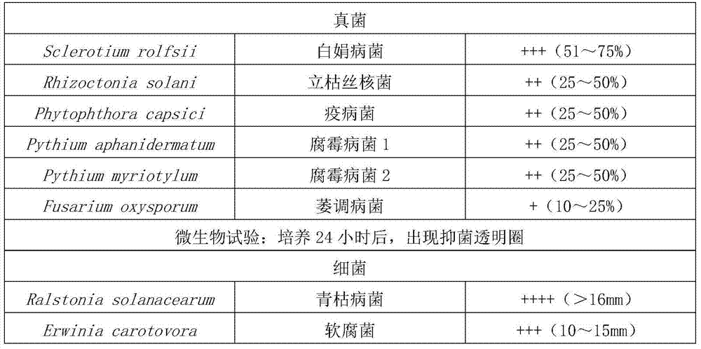 Fresh flower antistaling agent and preparation method thereof