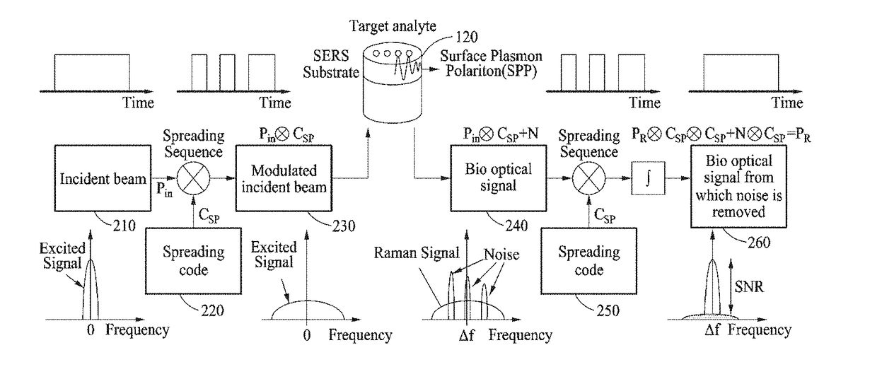 Apparatus and method for processing bio optical signal using spread spectrum