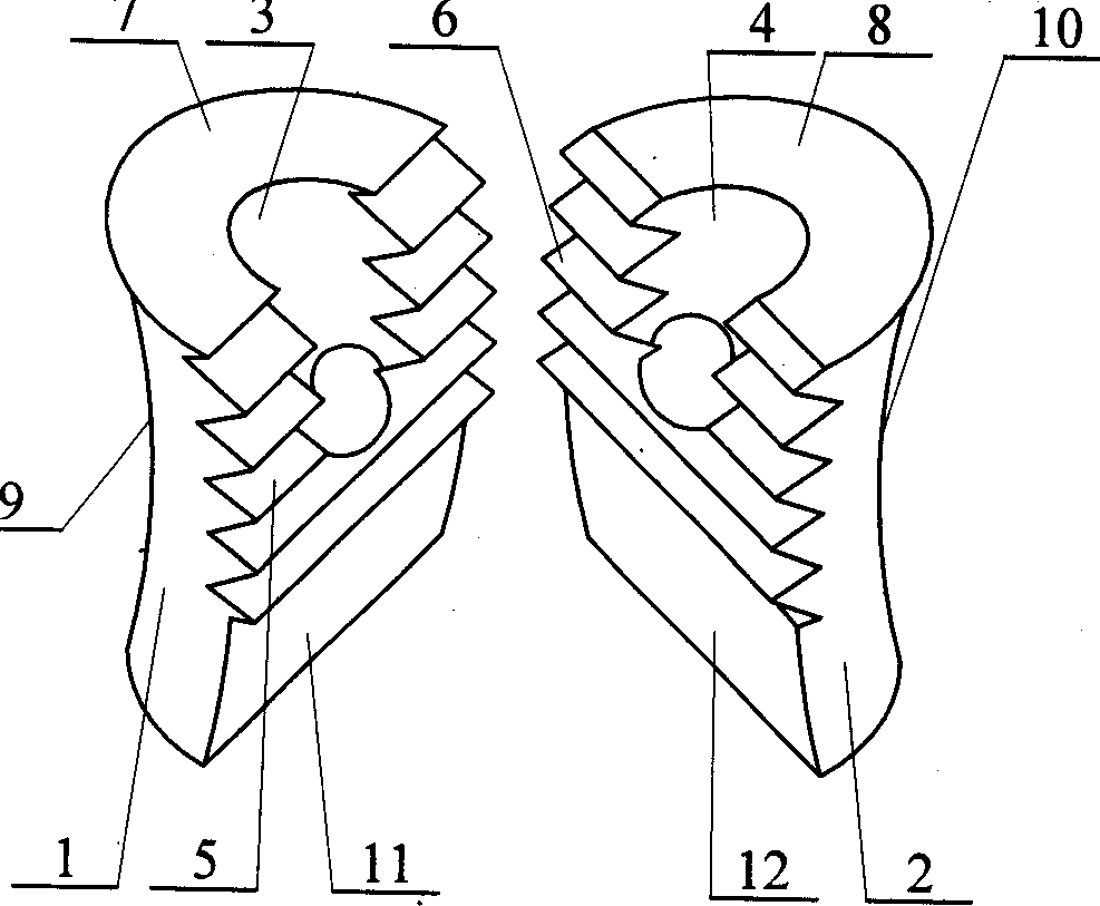 Curve shaped bullet holder in autosegregation