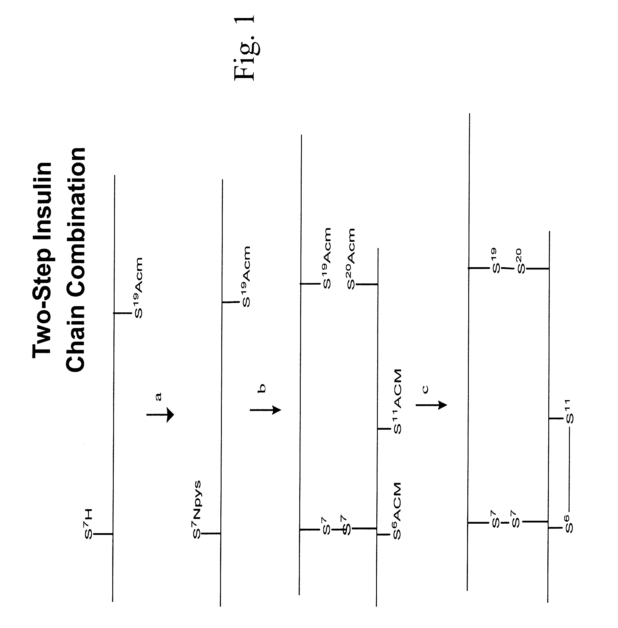 Insulin analogs