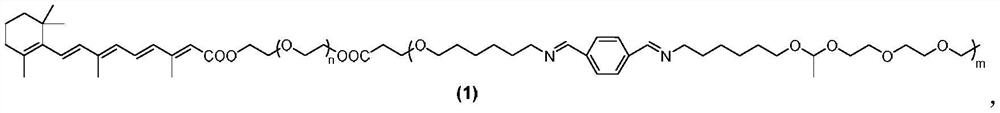 Immunotherapy nano-drug carrier, preparation method thereof, drug with carrier and preparation method of drug