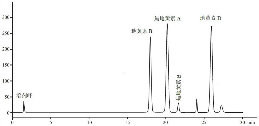 A kind of rehmannia glutinosa extract, its preparation method and its application in promoting the proliferation of cik cells in vitro