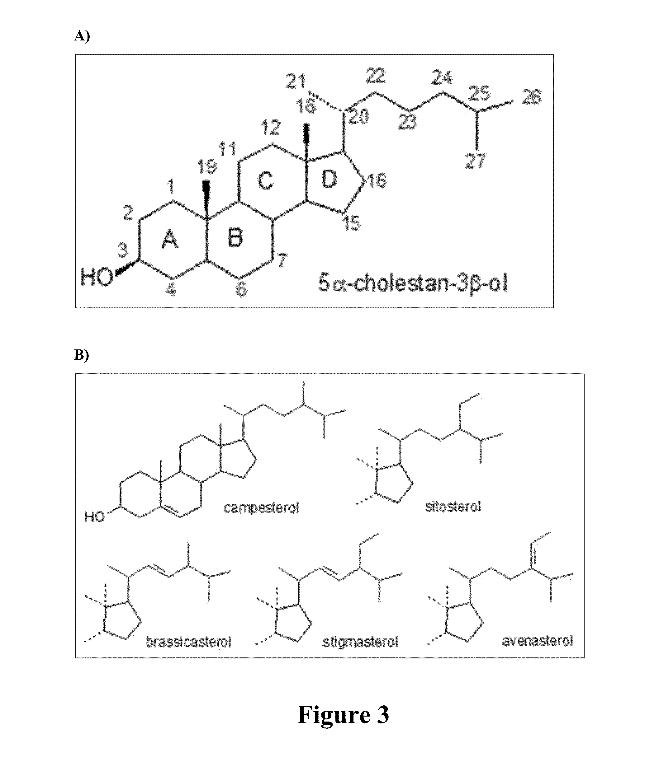 Lipid comprising docosapentaenoic acid