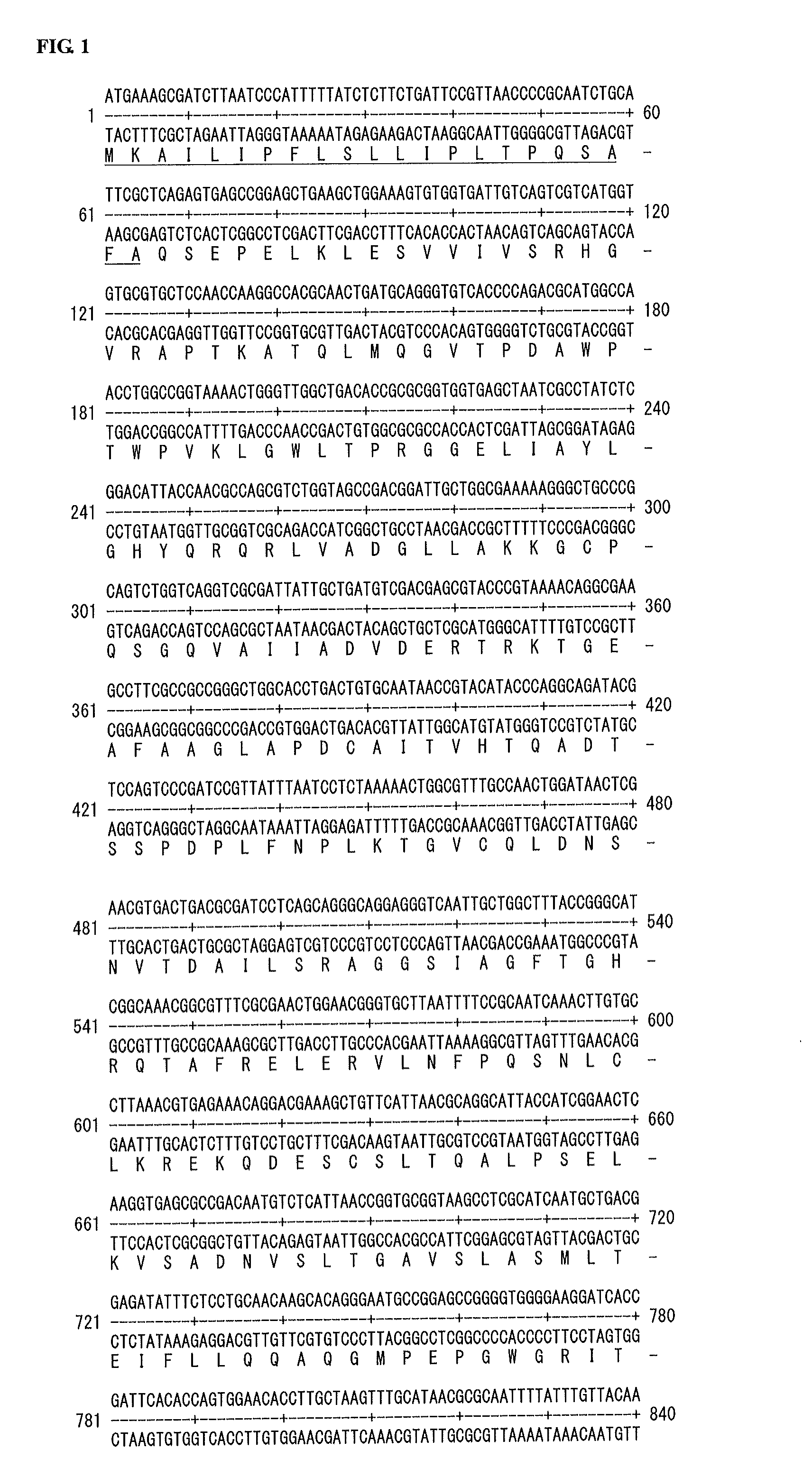 Thermotolerant non-k12 escherichia coli phytase and its production