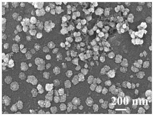Polyaniline-gold composite material, and preparation and application thereof