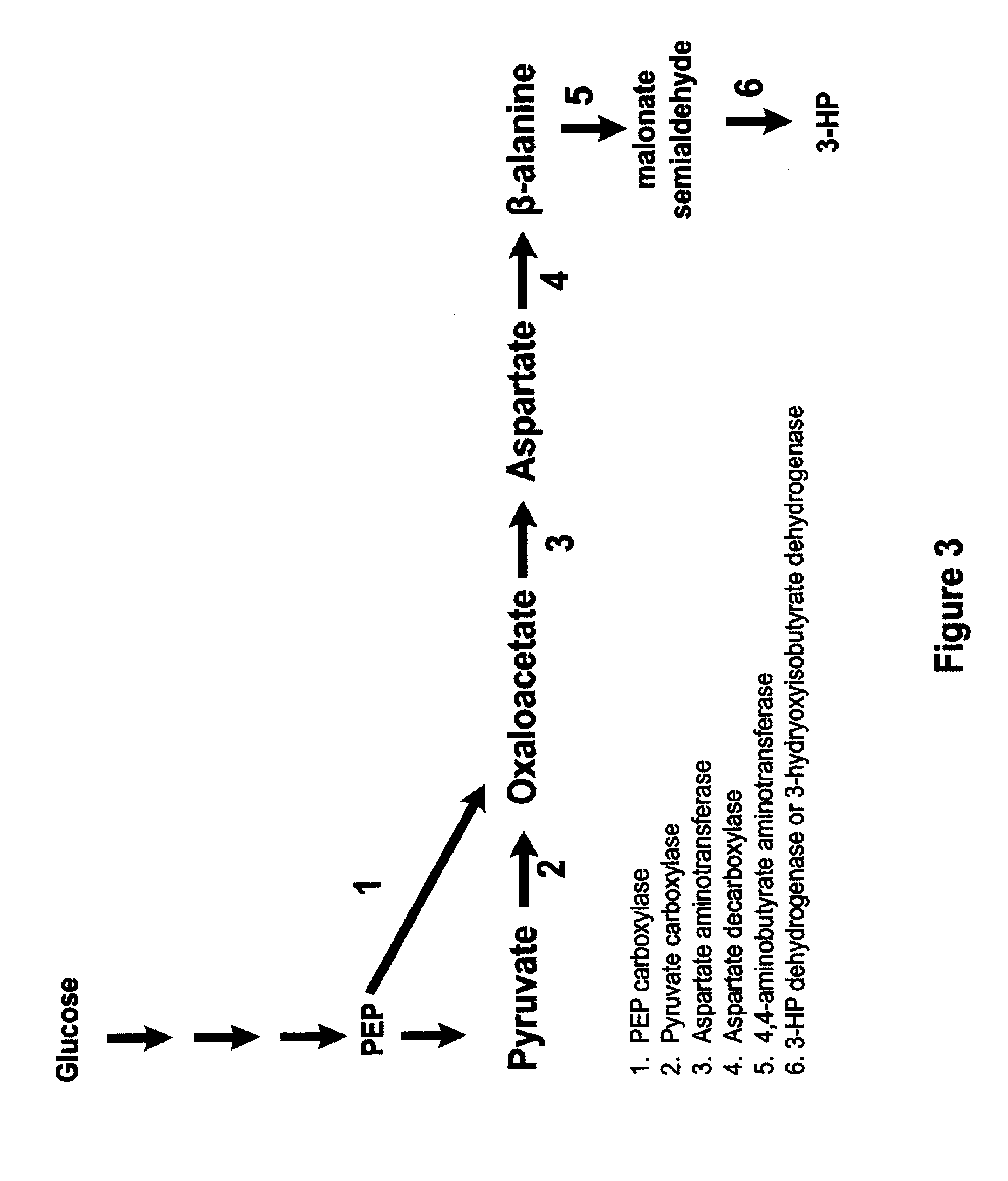 Methods, Systems And Compositions Related To Reduction Of Conversions Of Microbially Produced 3-Hydroxyproplonic Acid (3-HP) To Aldehyde Metabolites