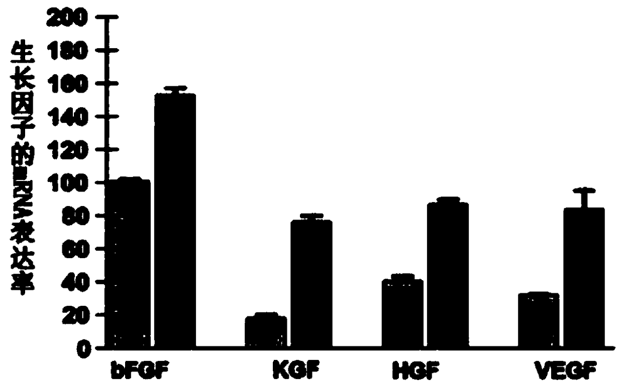 Method for preparing human adipose-derived stem cell culture solution and application thereof in cosmetic products