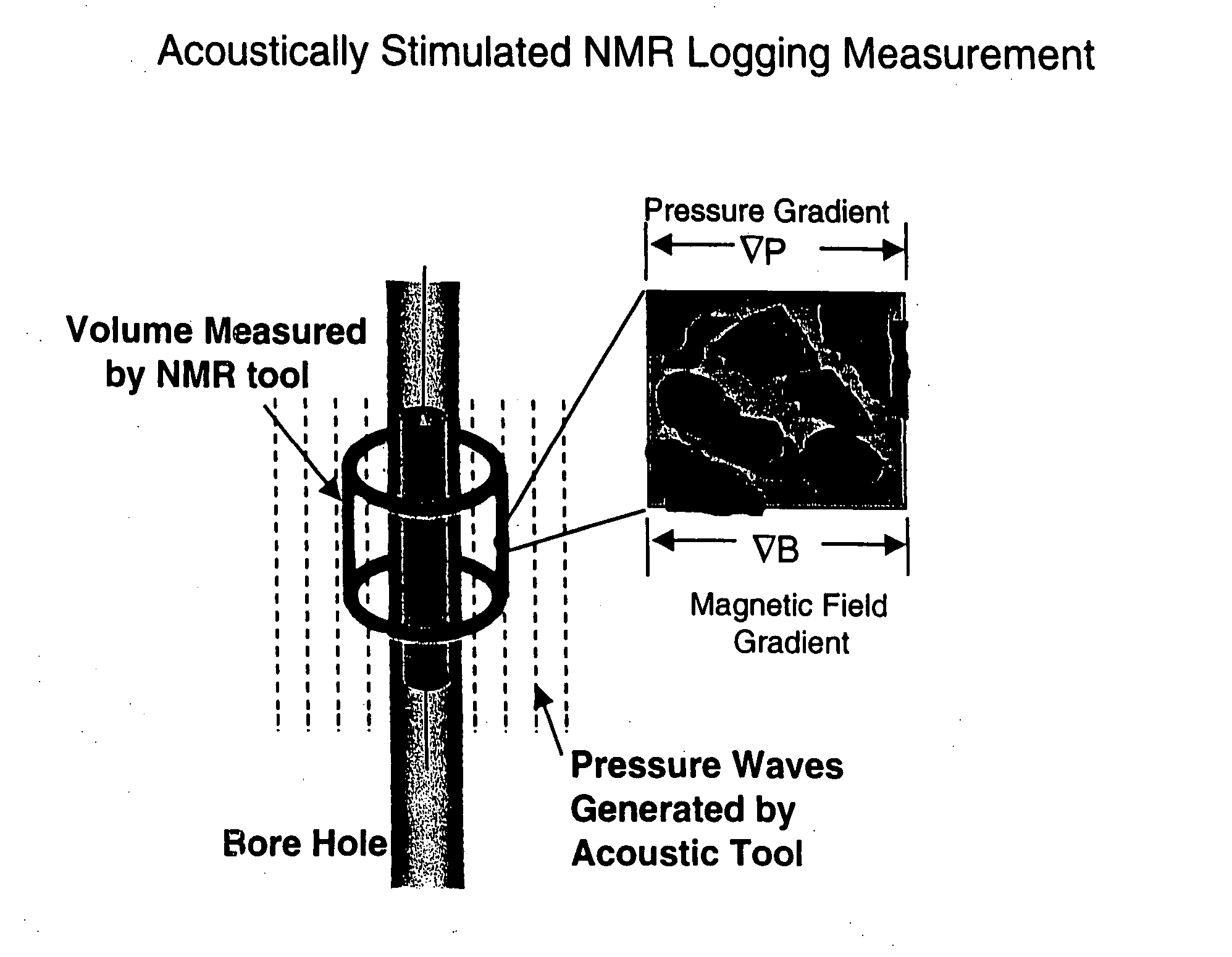 Fluid flow properties from acoustically stimulated NMR