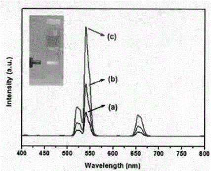 Preparation method and application of hydrophilic rare earth nano-material