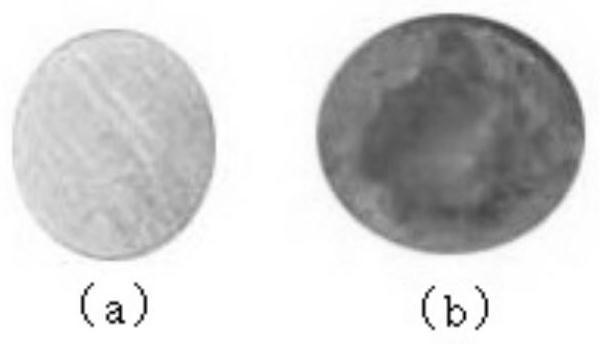 Anticoagulant coating composition as well as preparation method and application thereof