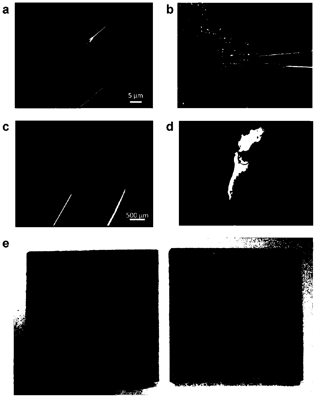 A gold-based extraction material functionalized with different affinity ligands and its application in surface plasmon optical affinity sandwich analysis