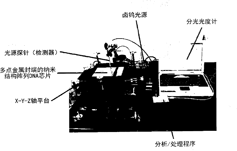 Multi-spot metal-deposited nucleic acid chip with nanostructure arrays for diagnosing corneal dystrophy, and method for producing same