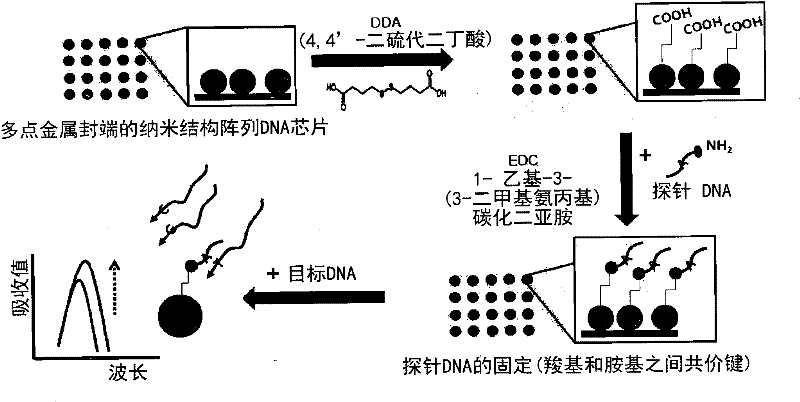 Multi-spot metal-deposited nucleic acid chip with nanostructure arrays for diagnosing corneal dystrophy, and method for producing same