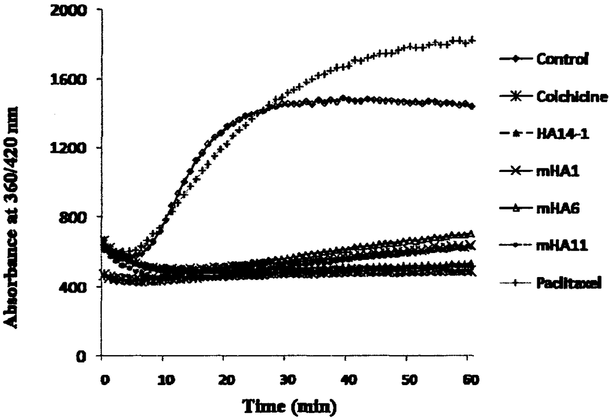 A camphorane compound that inhibits tubulin and its preparation method and application