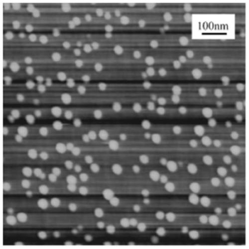 Quantum dot laser and preparation method thereof