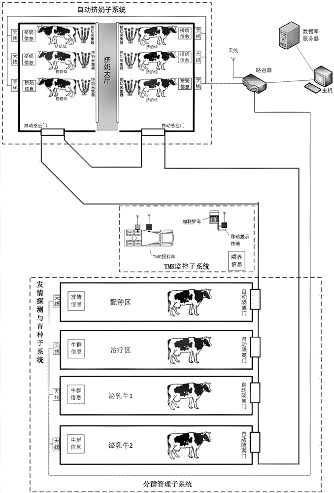 Cow fine breeding method based on RFID technology