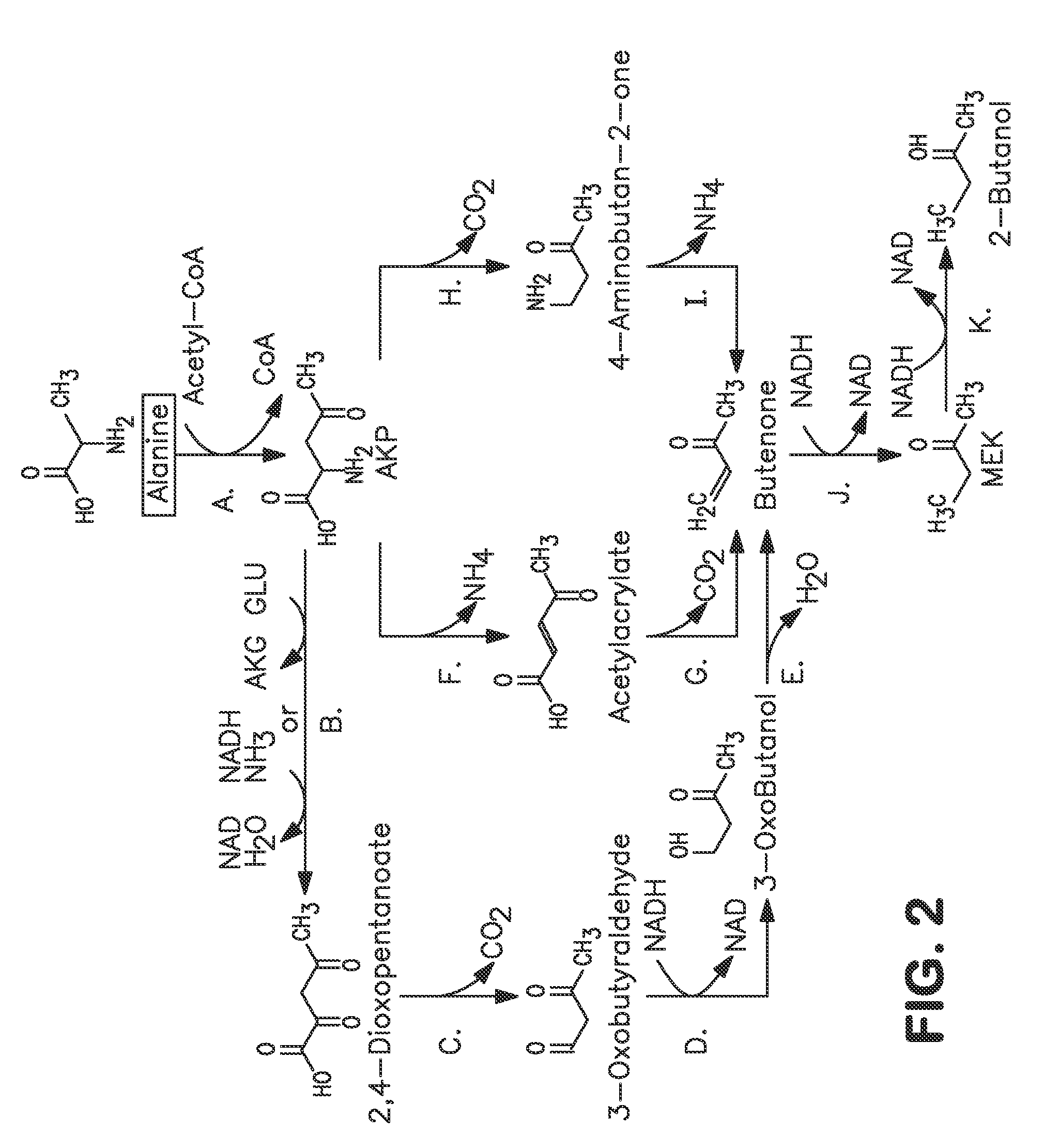 Microorganisms and methods for carbon-efficient biosynthesis of MEK and 2-butanol