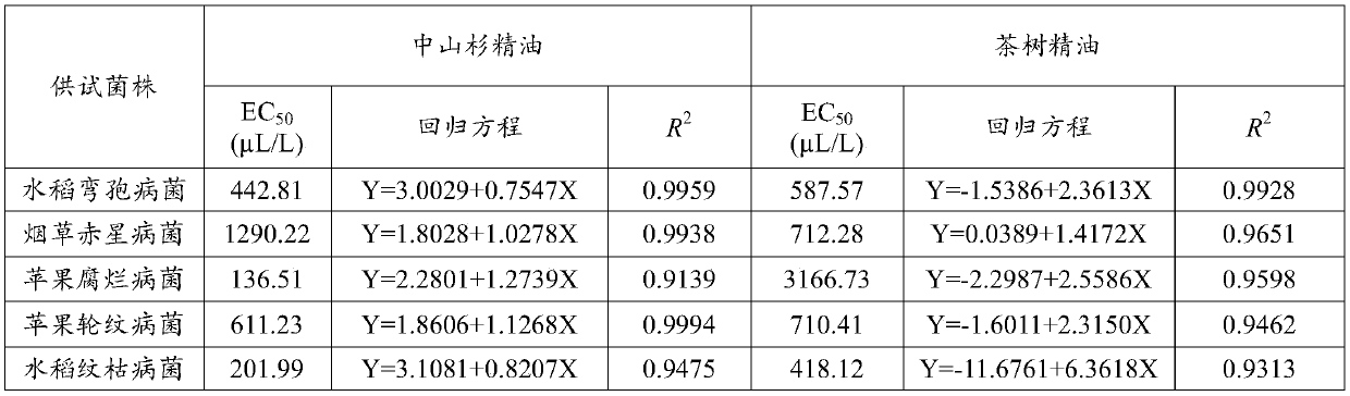 Taxodium hybrid 'zhongshanshan' essential oil and application thereof to inhibition of plant pathogens