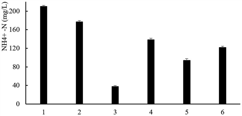 Rhodosporidium sphaercarpum ZDFY1801 and application thereof