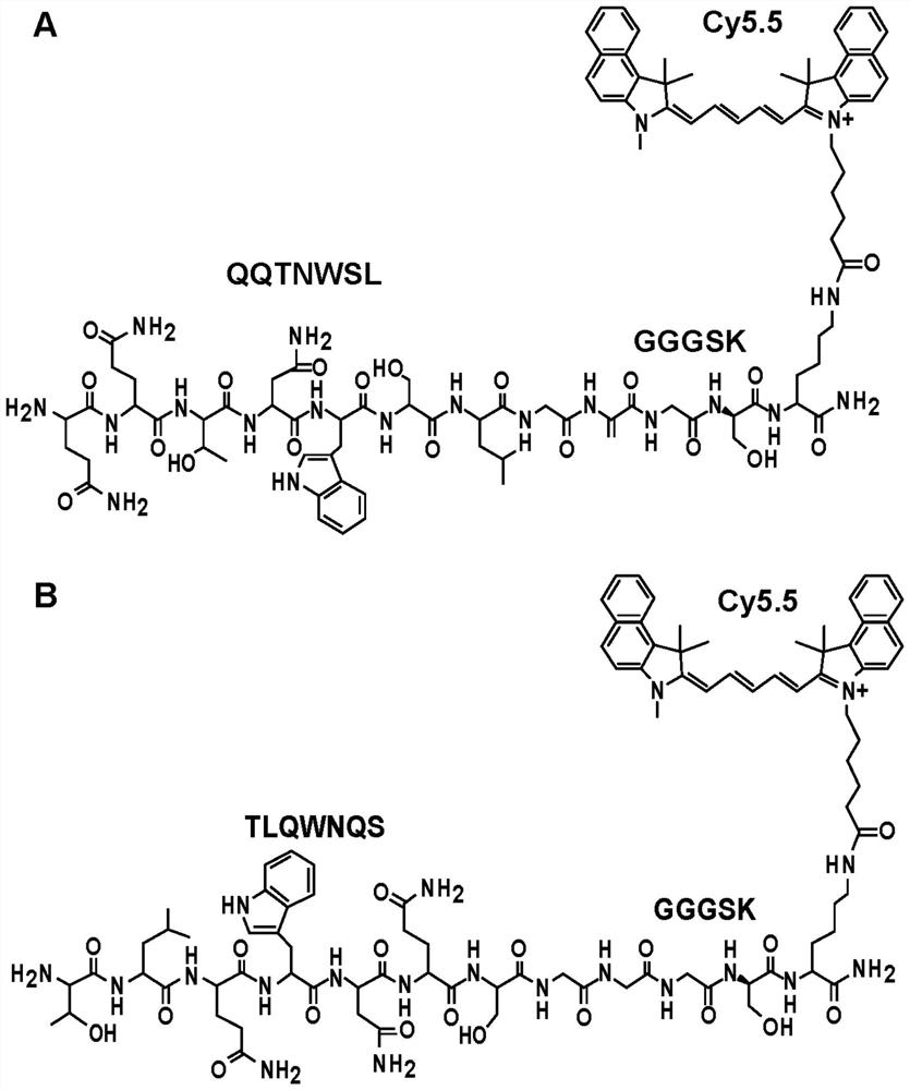 Detection of colonic neoplasia in vivo using near-infrared peptide targeted against overexpressed cmet