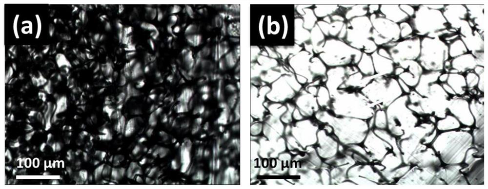 Thermally conductive polymer composite material with multi-level continuous network structure and preparation method