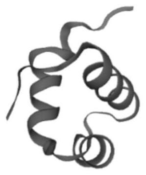 Limonium bicolor gene LbCPC and application thereof