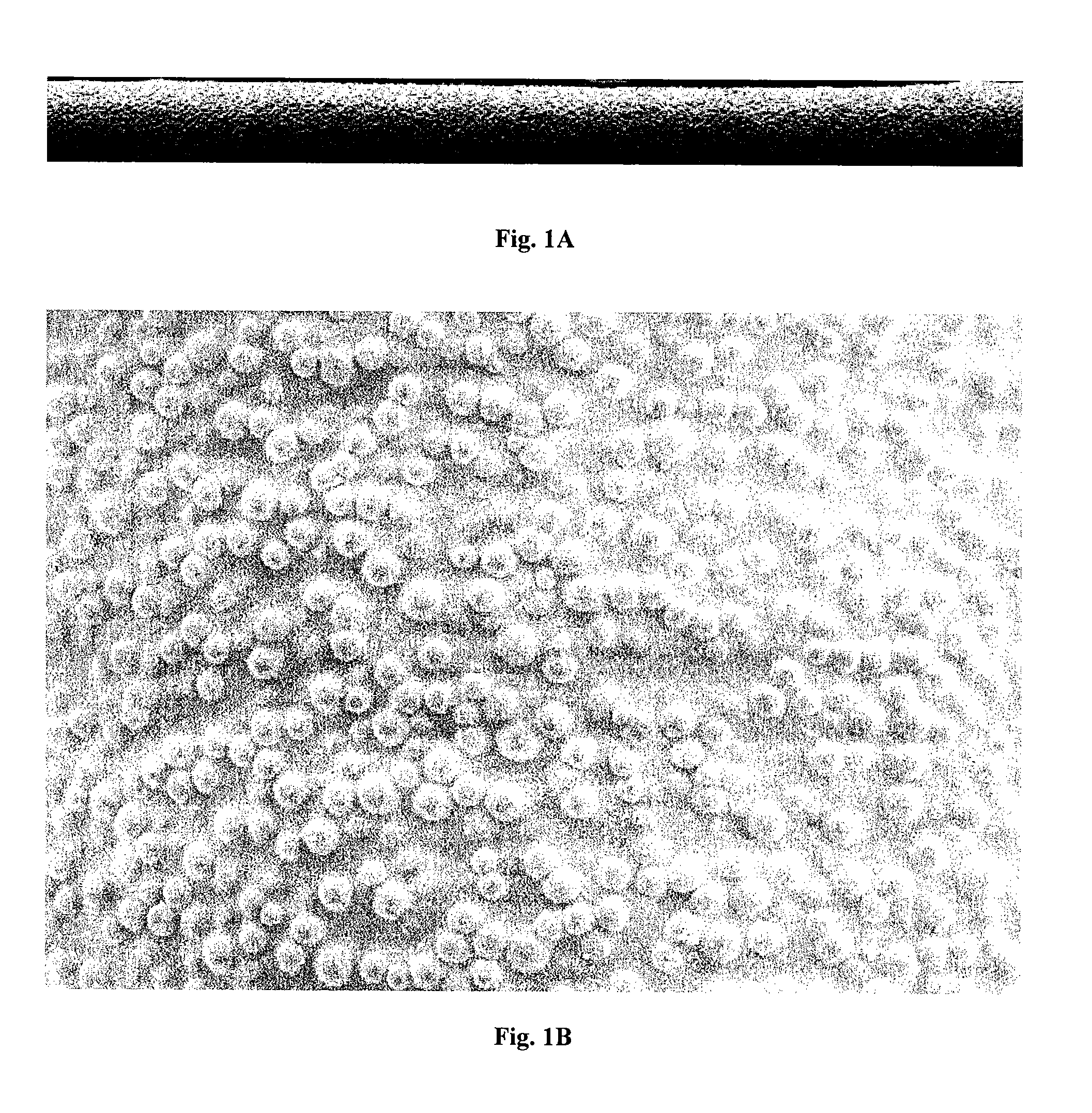 Biocompatible solid-phase microextraction coatings and methods for their preparation